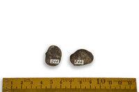 F 00244
<br/>
<br/>
<em></em>